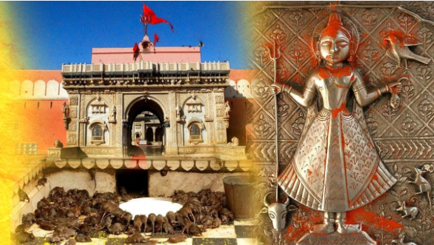Discover the Mystical Karni Mata Temple: Home to Sacred Rats