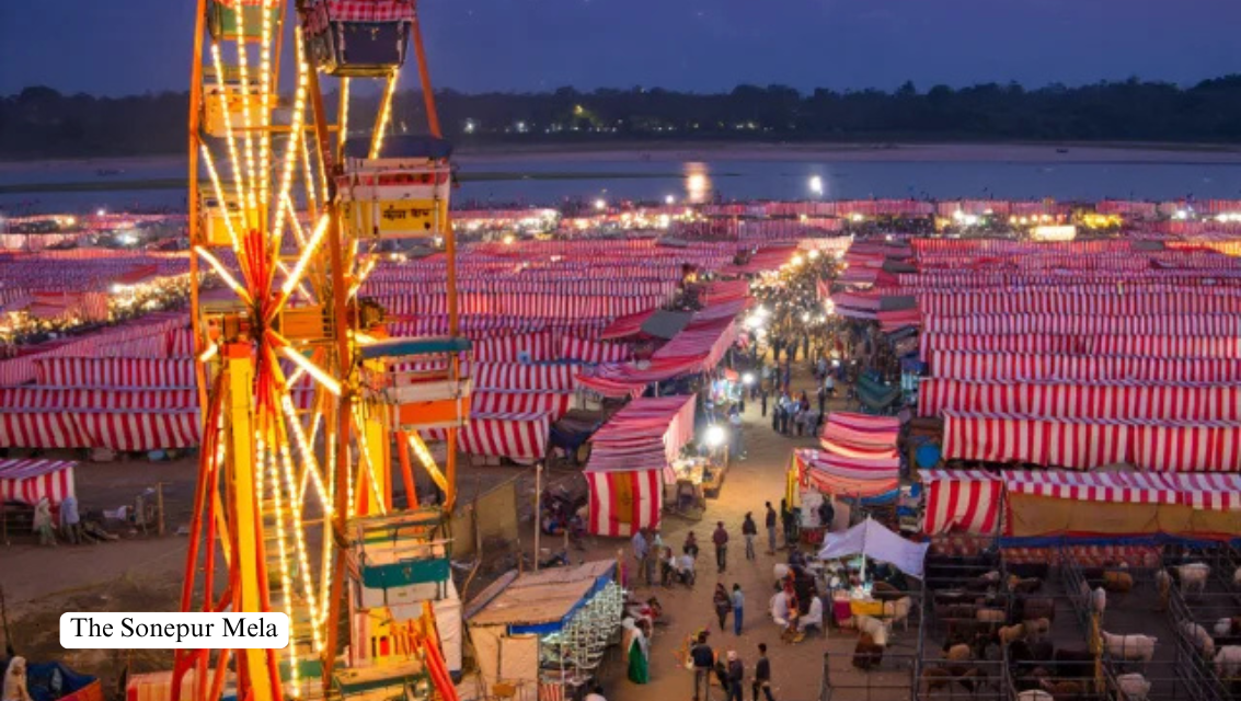 Sonepur Cattle Fair: Trade, Animals, and Rural Economy